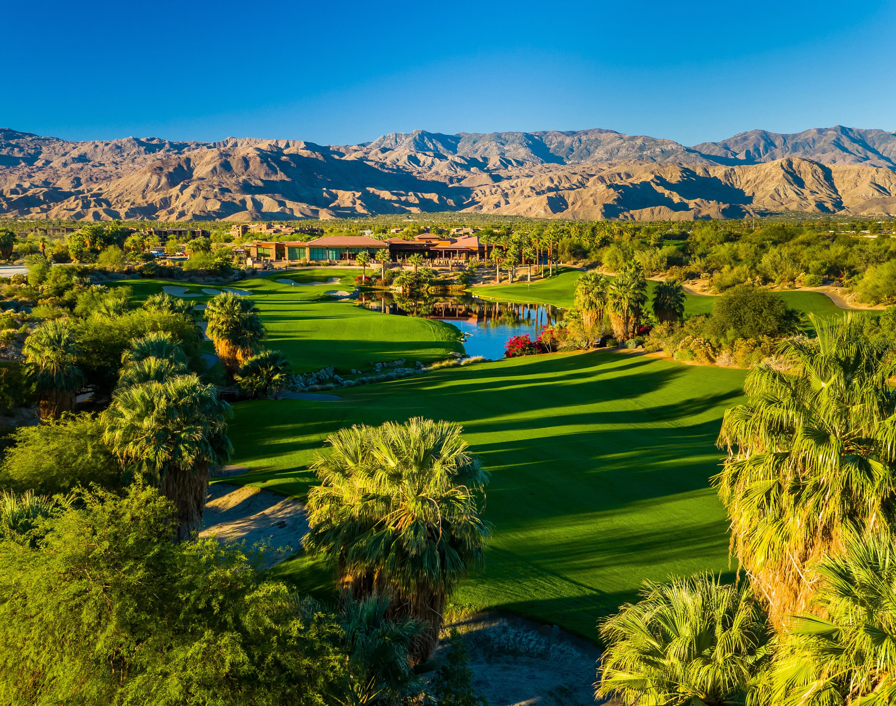 Palm Desert 3