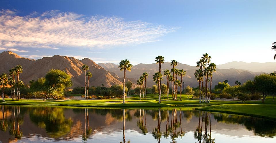 Palm Desert 1