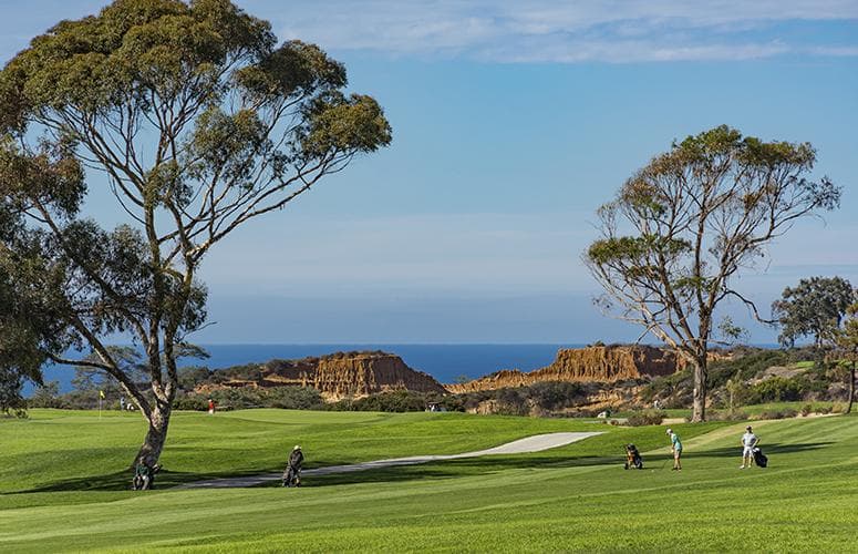 Torrey Pines (The Lodge) 4